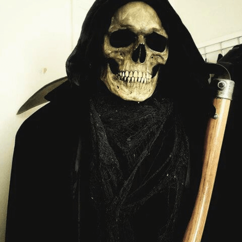 Full Head Skull Mask with Movable Jaw