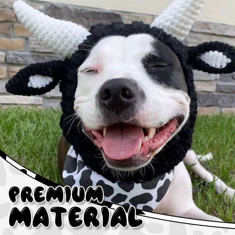 New Pet Headgear